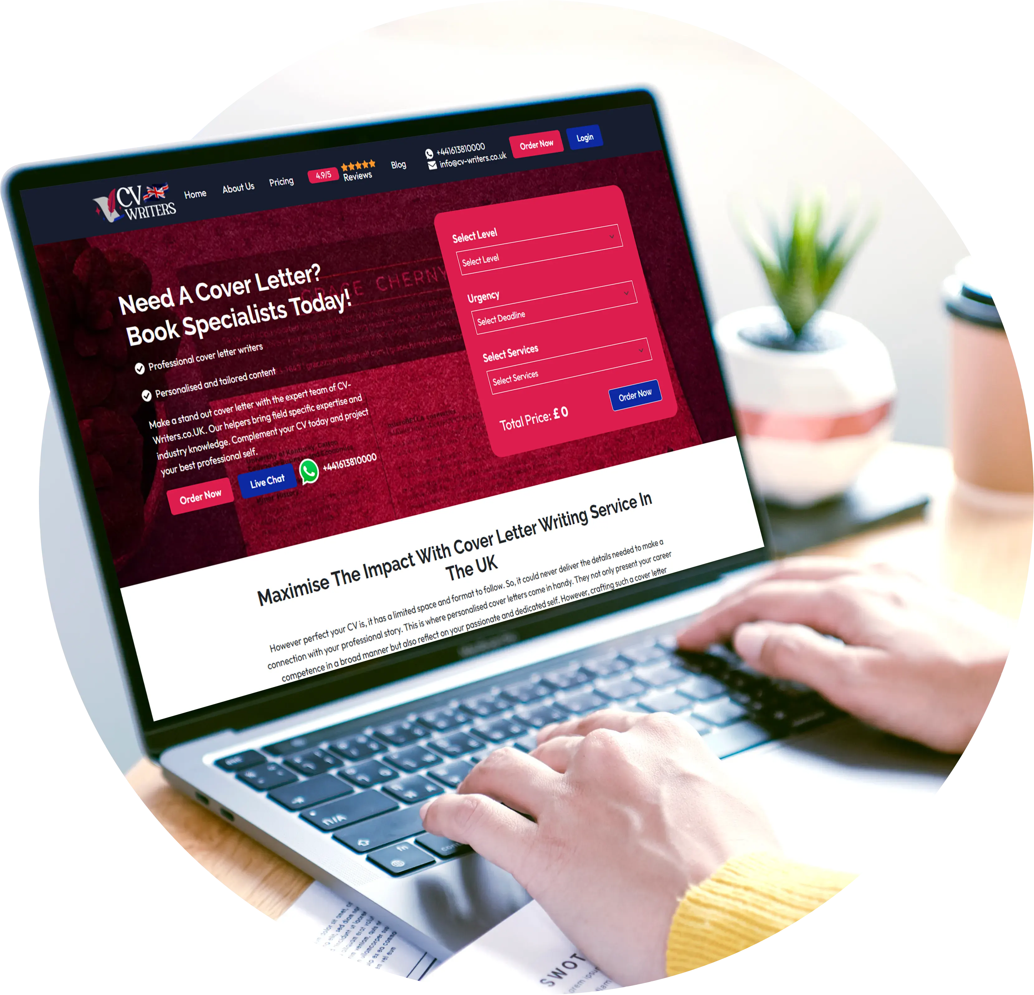 Hire A Professional CV Writing