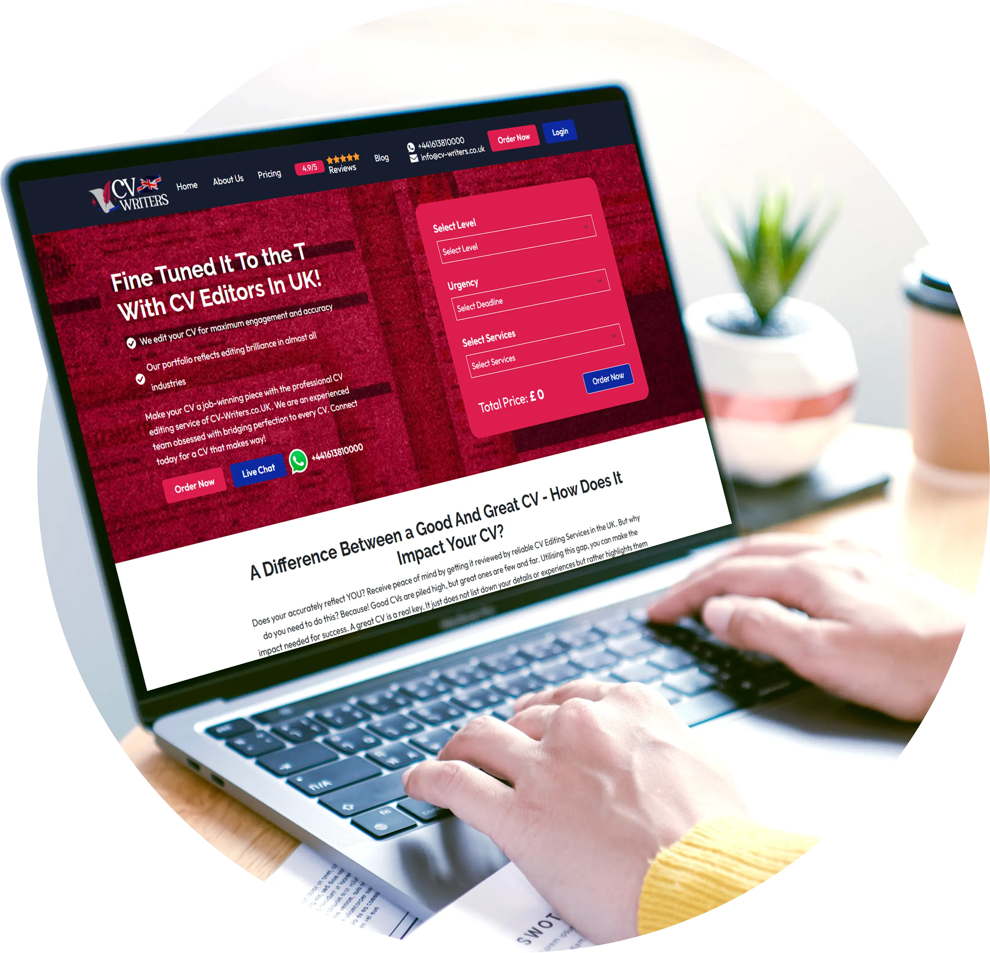 Hire A Professional CV Writing